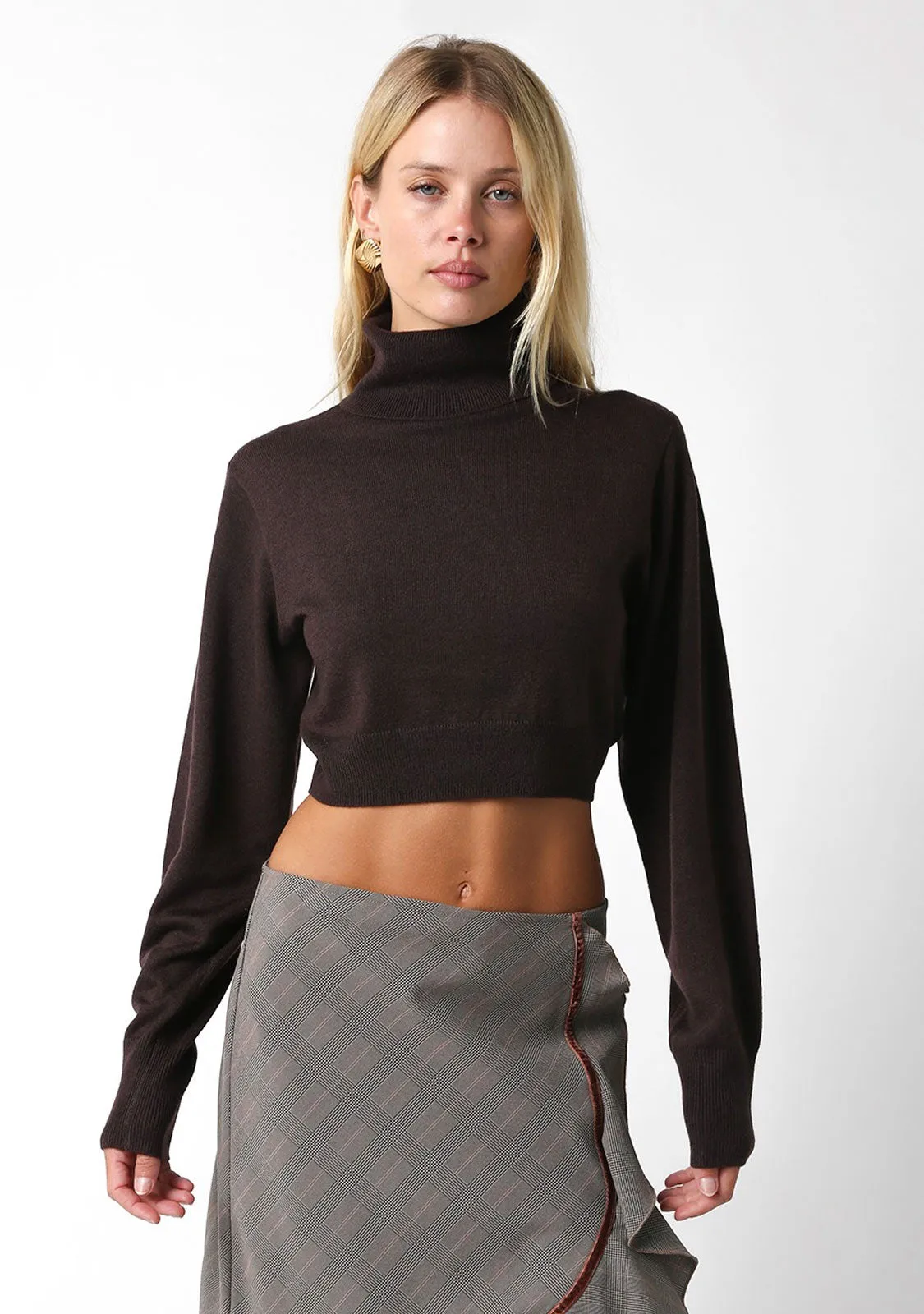 Cropped Turtleneck Sweater