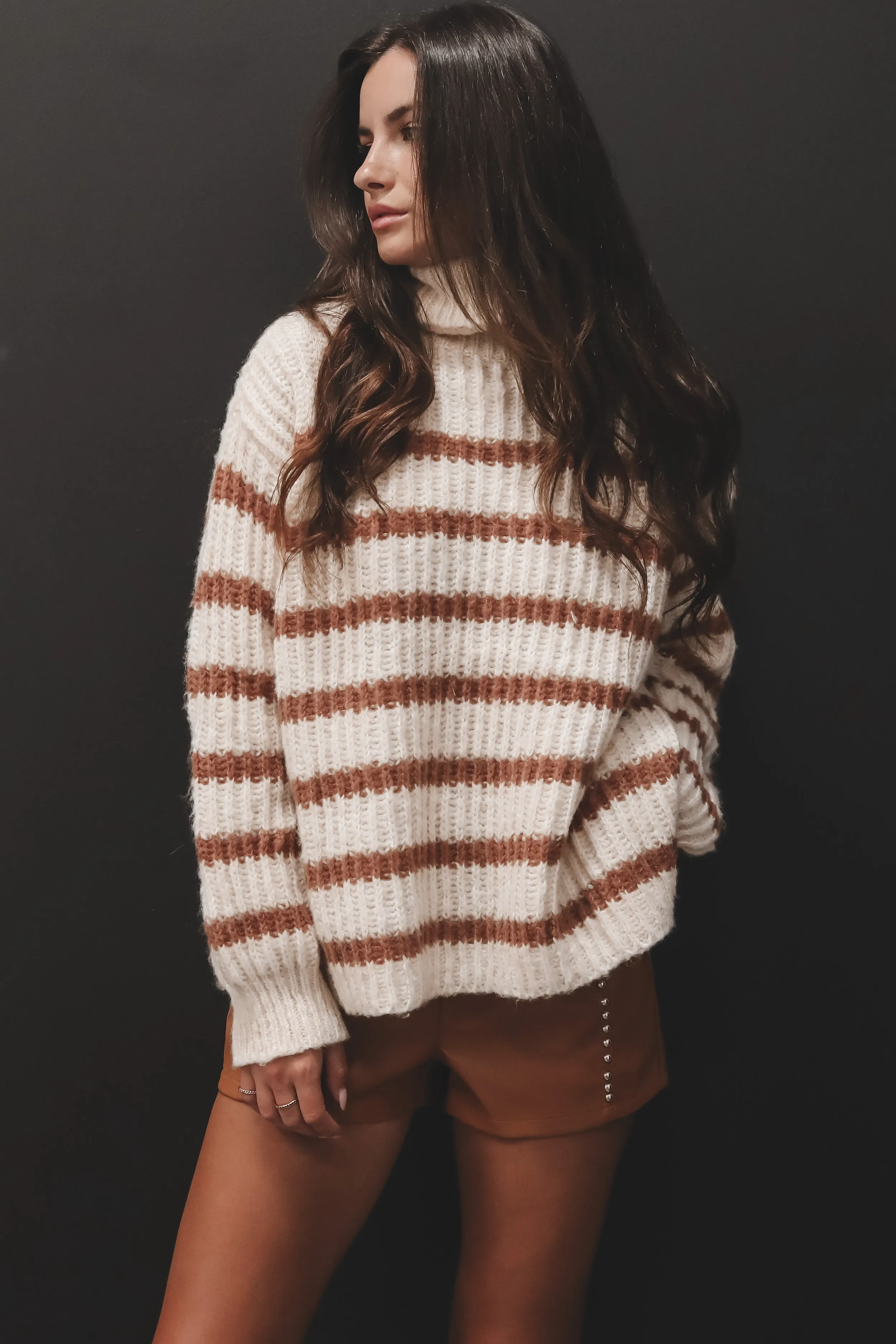 DEAL SADIE & SAGE Aki Turtle Neck Striped Sweater