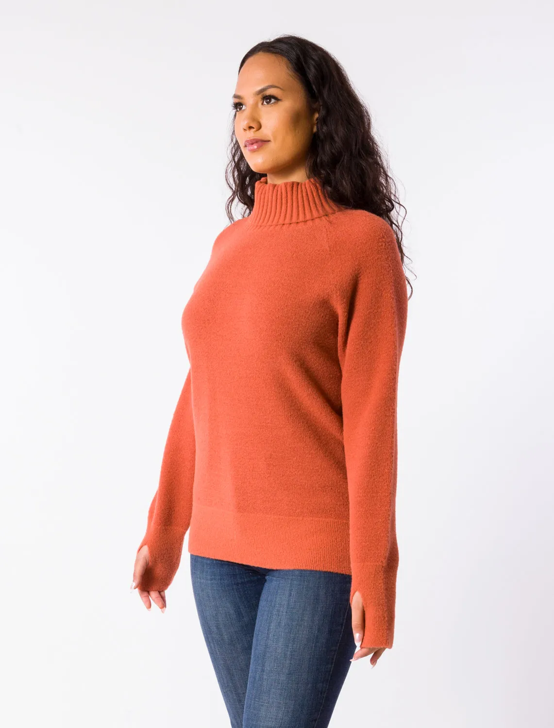 TRISA TURTLENECK