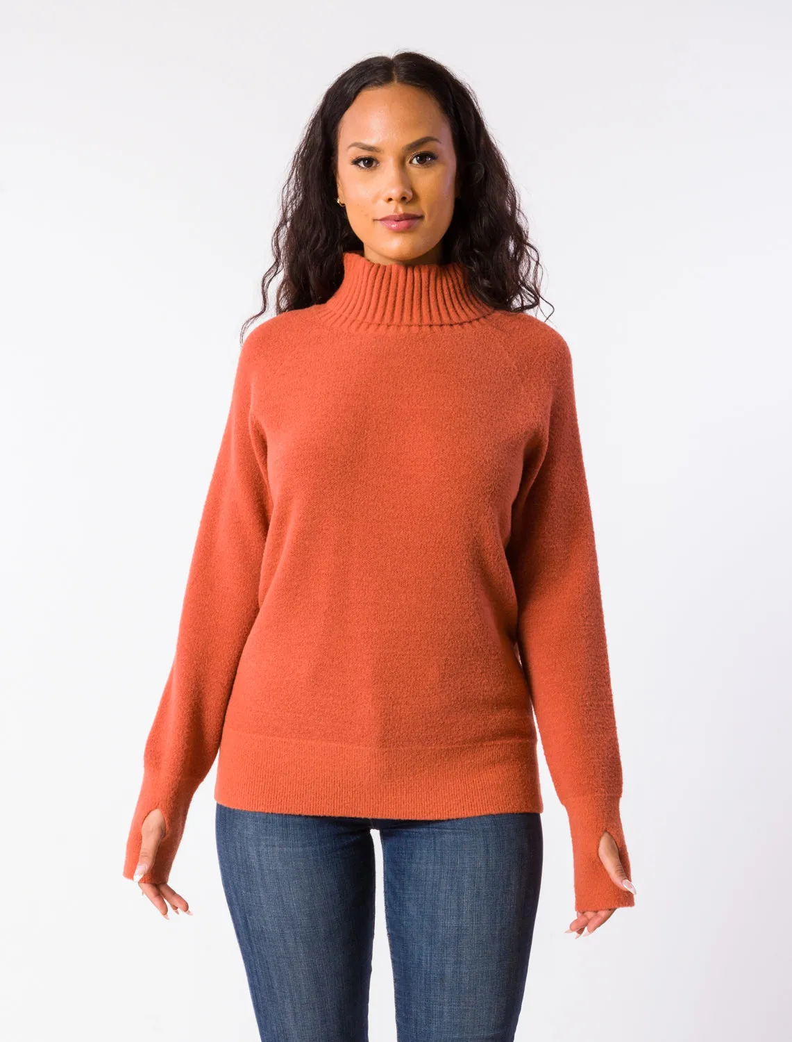 TRISA TURTLENECK